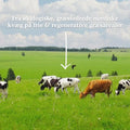 Functional Future Bio-Knochenbrühe mit Kollagen (250 g)