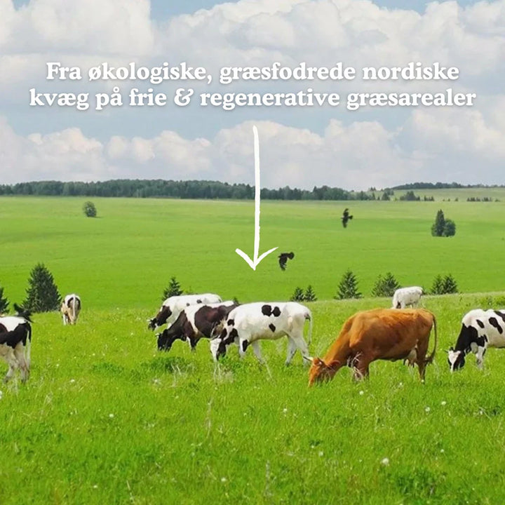Functional Future Bio-Knochenbrühe mit Kollagen (250 g)