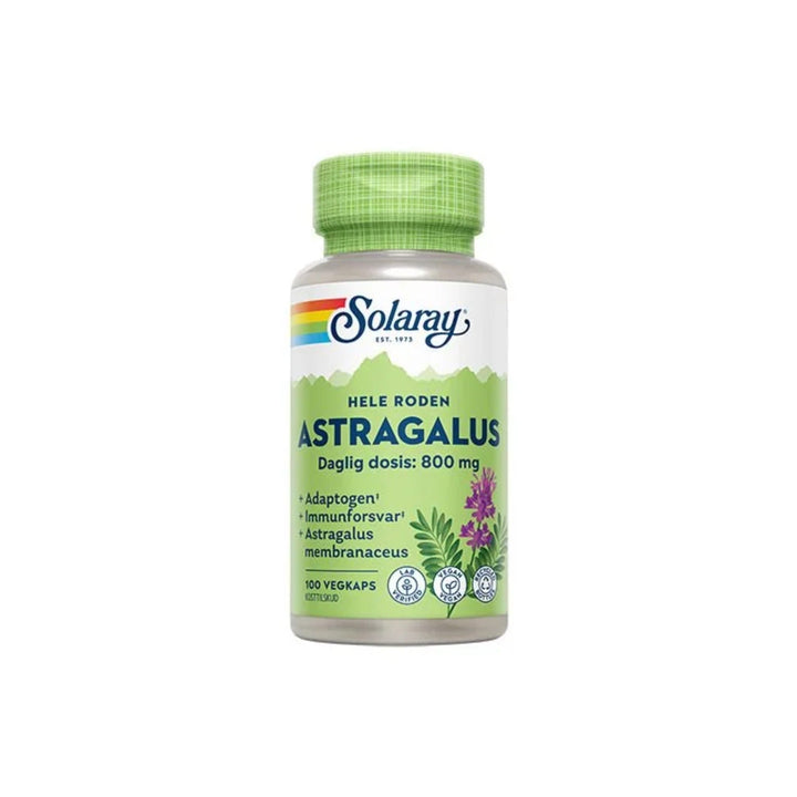 Solaray Astragalus (100 Kaps.)